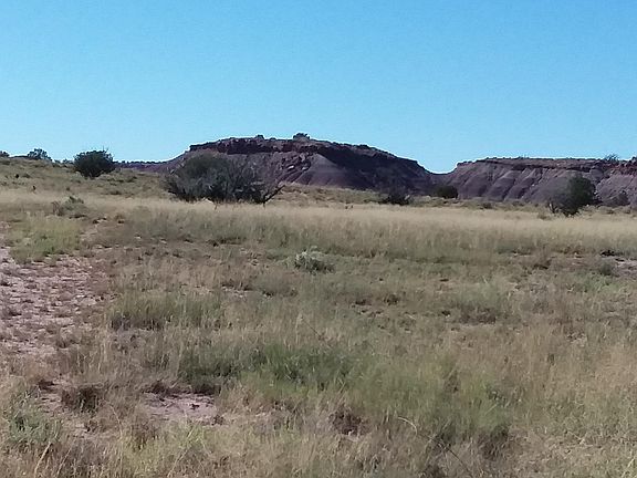 5th image of LOT 317 Carrizo Rnch Lot 317