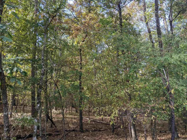 5 Darro Way, Hot Springs Village, AR 71909