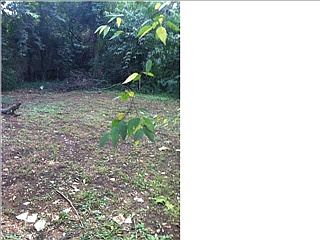 2nd image of 212 24th Ave E