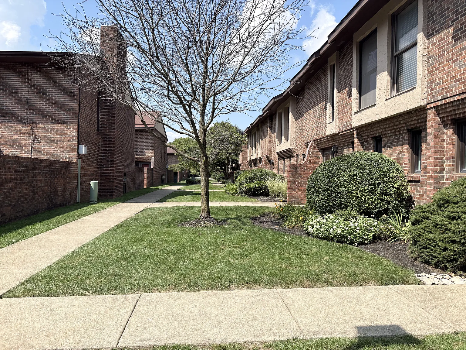 2 bed, 1.5 bath, 1054 sqft, $1,950 — Photo 3