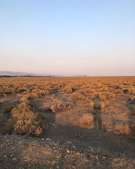 Looking East 