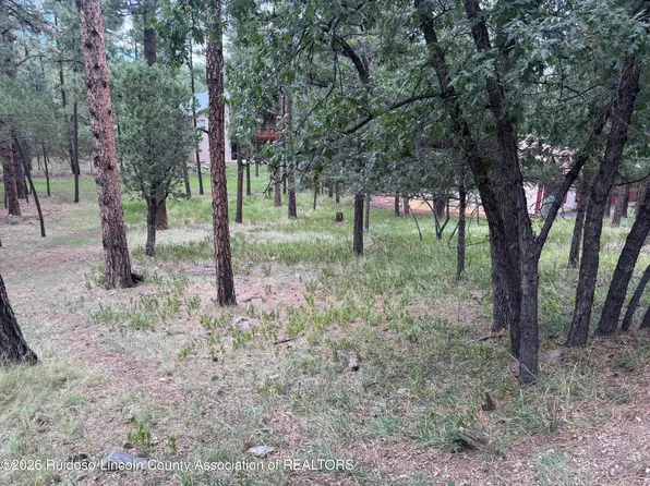 117 Tanglewood Ln, Alto, NM 88312