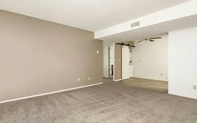 Maguire Hill Apartments — Photo 12