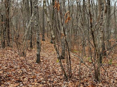 Richards Road, Kent, CT, 06757