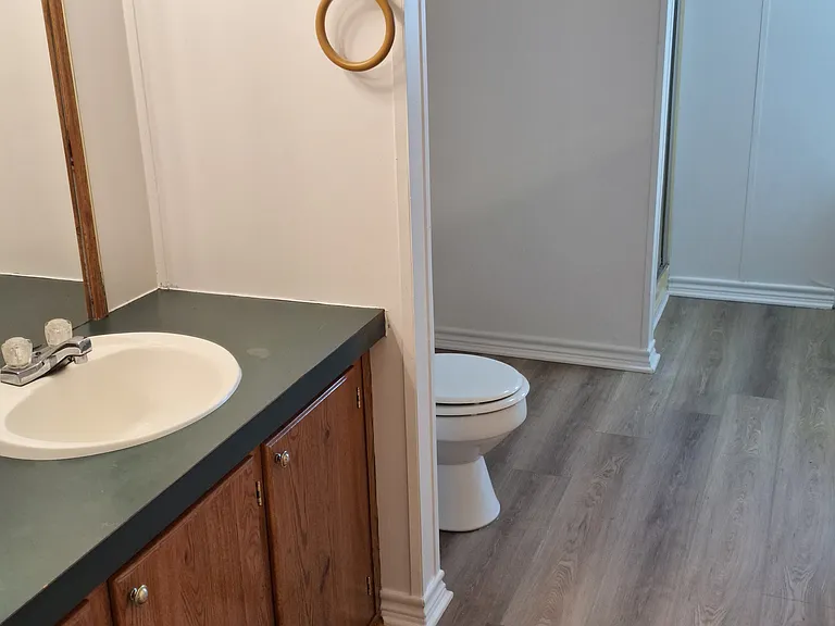 1001 Prairie Clover Trl — Photo 3