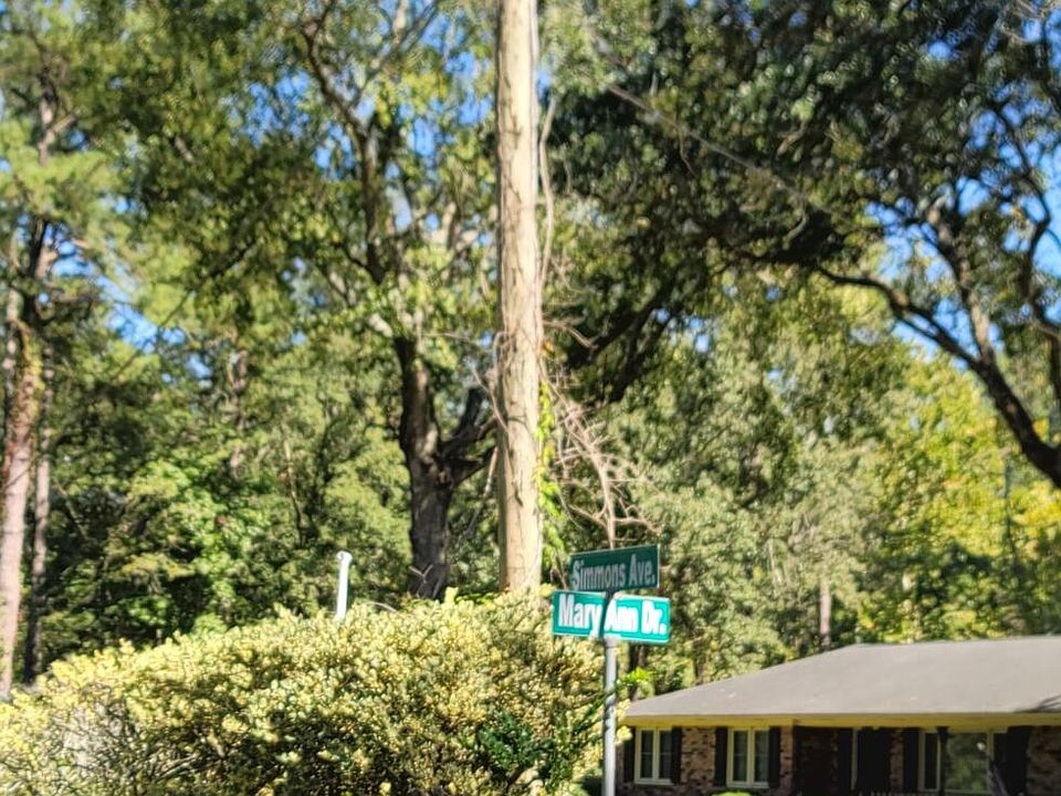 2nd image of 0 Mary Ann Dr