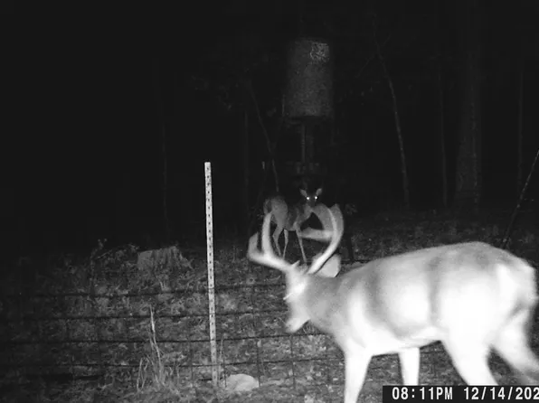 W Fm 852, Winnsboro, TX 75494