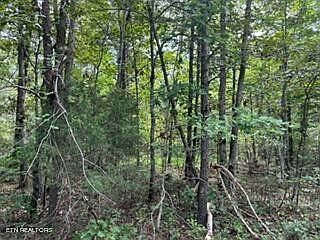 2nd image of 406 Wahoo Dr #164