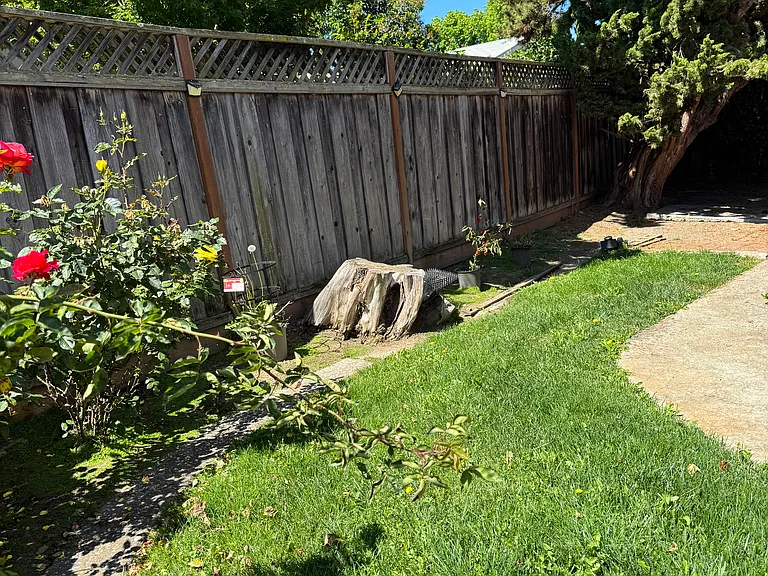35043 Hollyhock St — Photo 9