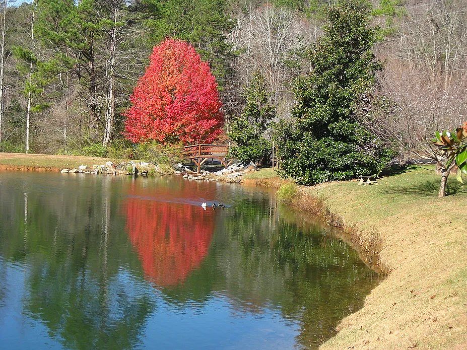 22nd image of this home