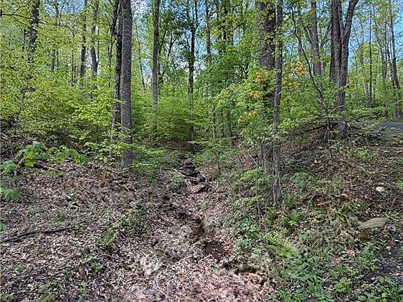 2nd image of LOT 28 Bluff Ridge Rd #28