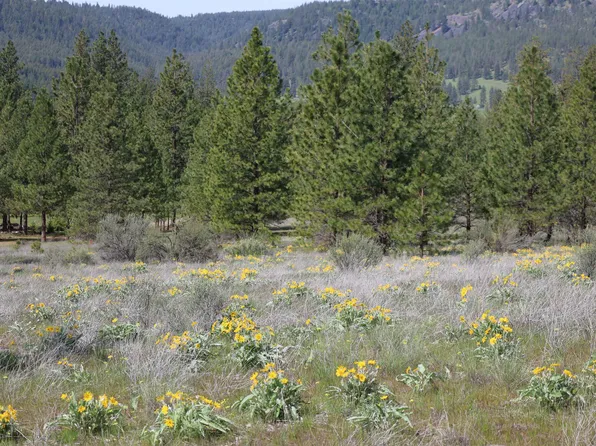 Spring Creek Rd, Reardan, WA 99029