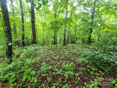 9999 Henry Worley Ln, Marshall, NC, 28753