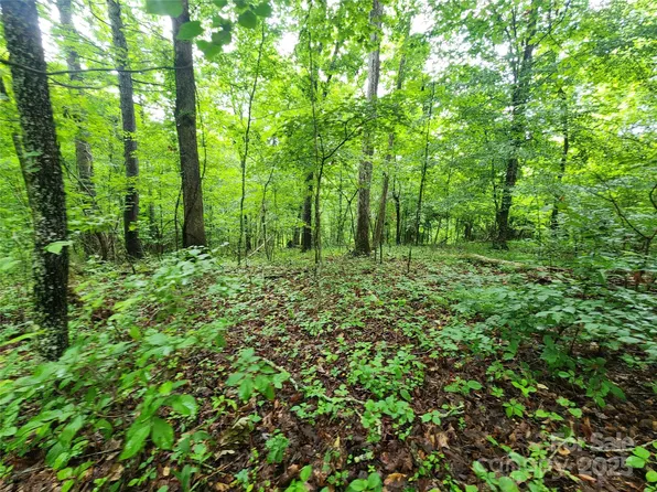 9999 Henry Worley Ln, Marshall, NC 28753