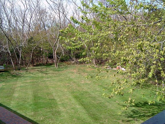 4th image of 4 Mimosa Dr