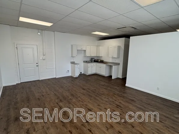 45 Point Dr #104, Millersville, MO 63766