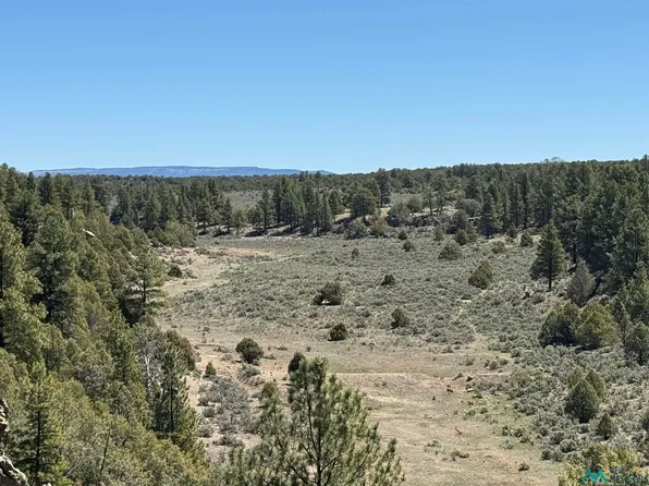 Foredst Service Road Frst #144, Cebolla, NM 87518
