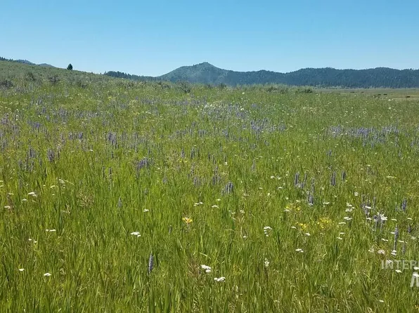 48 Lantern Way, Cascade, ID 83611