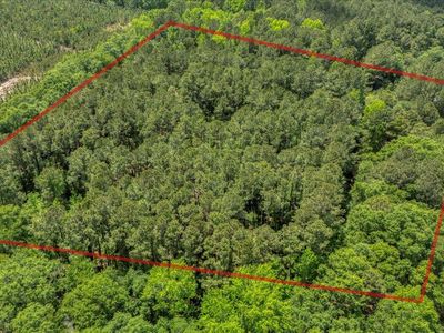 1301 Bayshadow Dr, Manning, SC, 29102