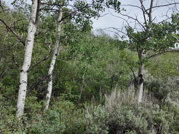 4060 E Wildlife Way N, Kamas, UT 84036
