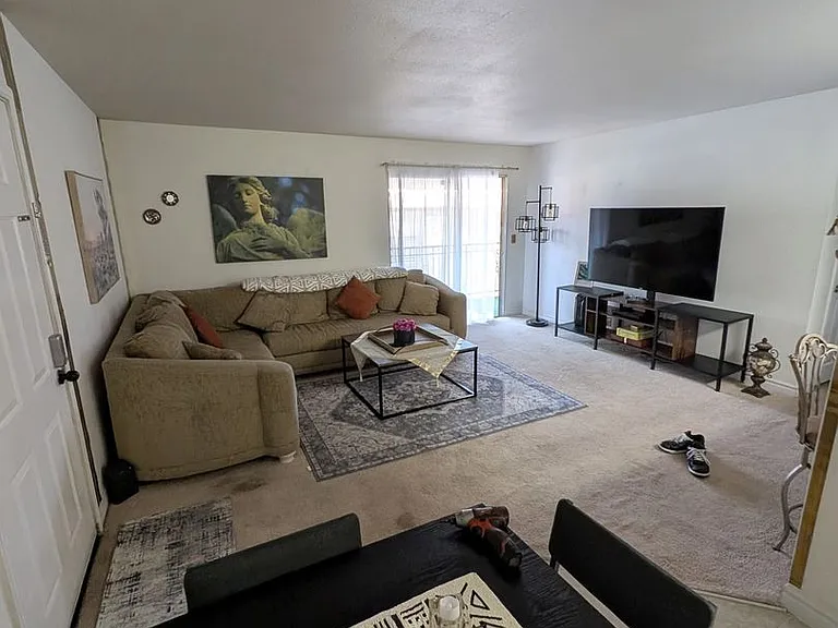 4990 River Glen Dr #168 — Photo 9