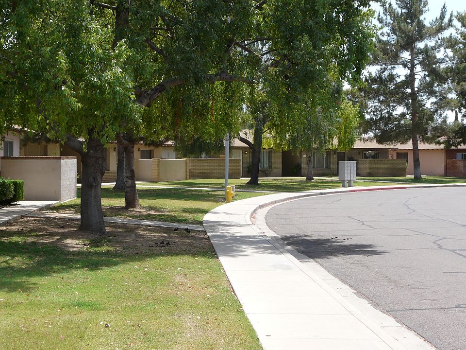 The neighborhood!