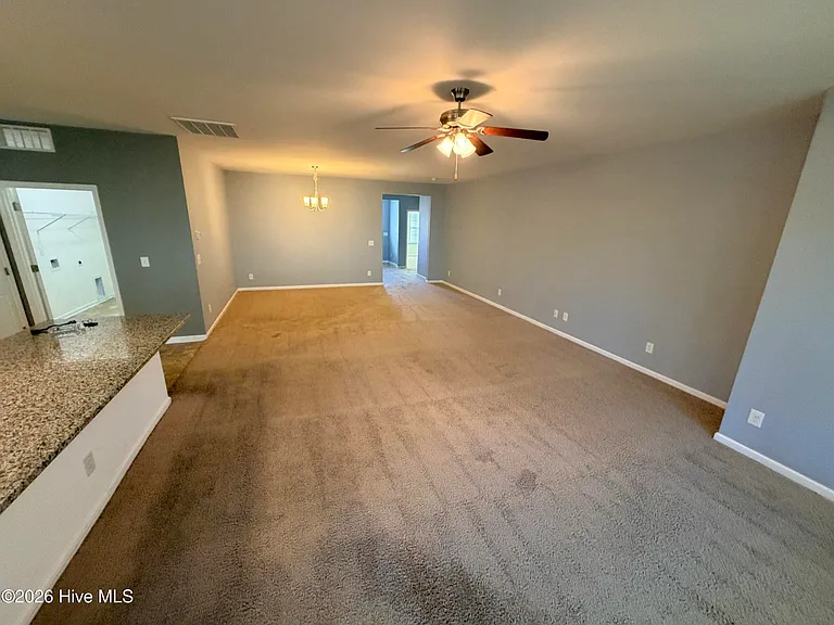 319 Louisia Mae Way — Photo 10