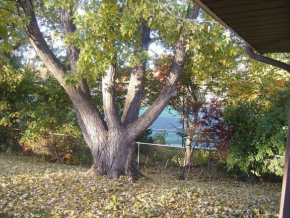 view of tennis courts