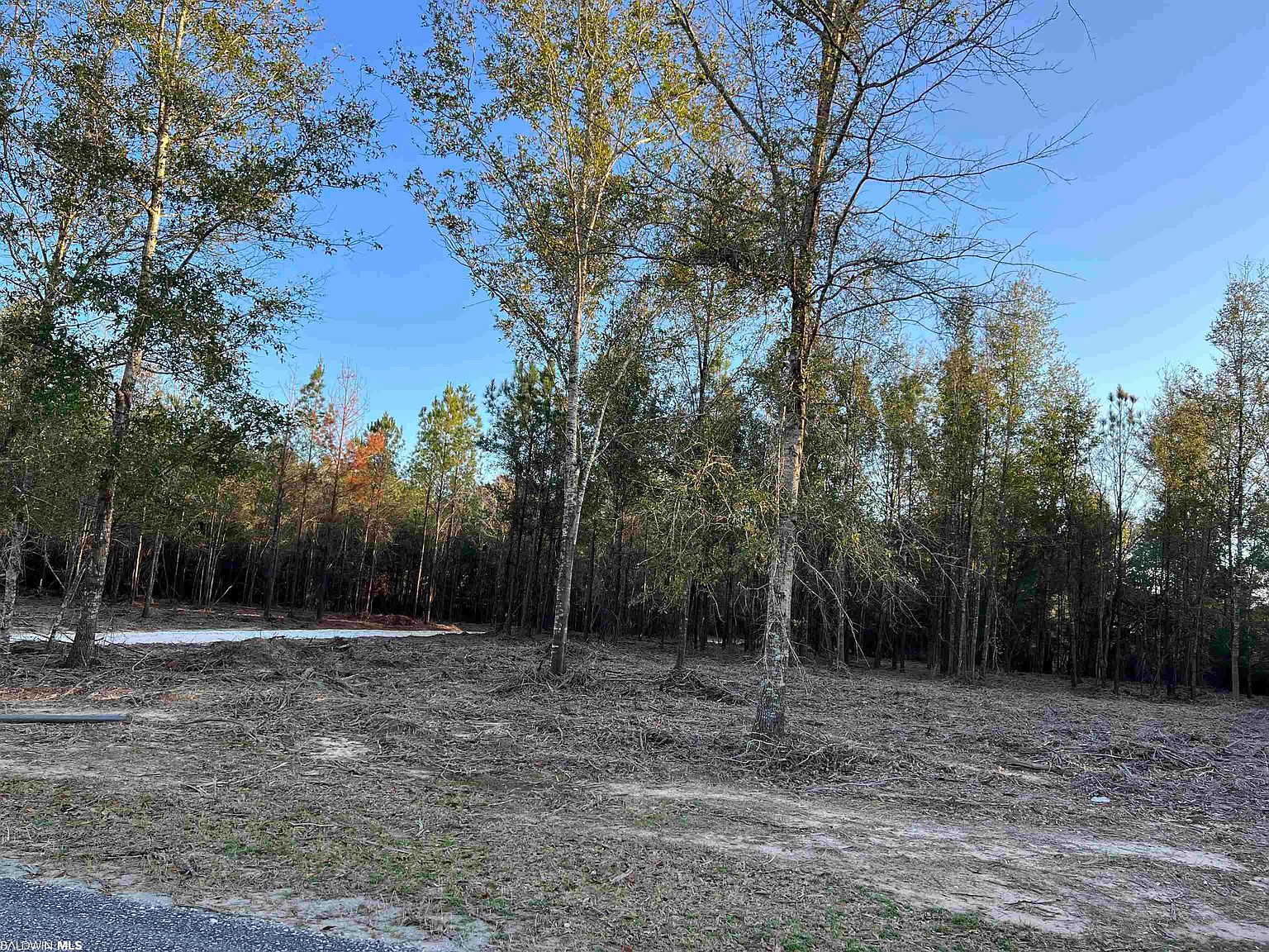 0 Seminole Rd W, Seminole, AL 36574 Zillow