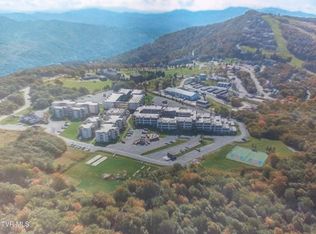 301 Pinnacle Inn Rd UNIT 2209, Banner Elk, NC 28604