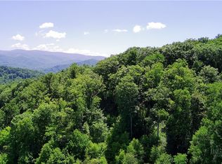 tbd Council Ward Road, Sugar Grove, NC 28679