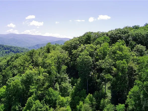 tbd Council Ward Road, Sugar Grove, NC 28679