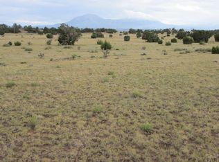 125 Rio Cucharas, Walsenburg, CO 81089
