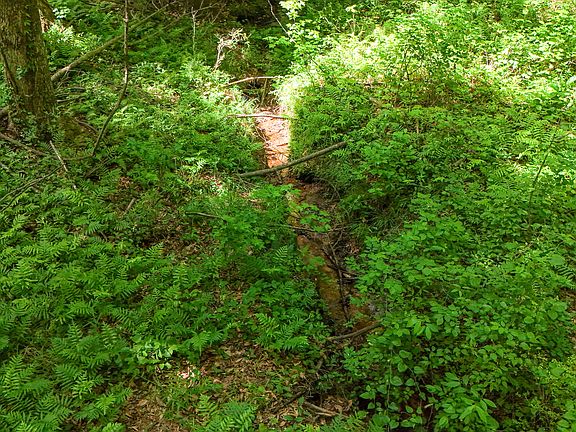 2nd image of 186 Doyl Rd