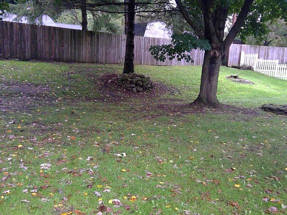 4th image of 601 Braewood Dr