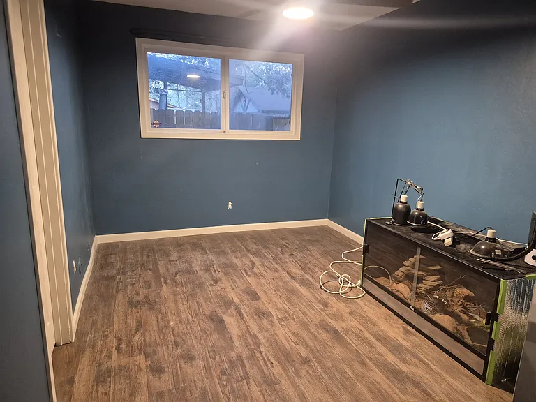 253 Whipple Dr — Photo 17