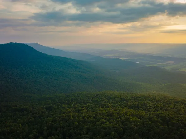 Hendon Fire Tower Rd, Graysville, TN 37338