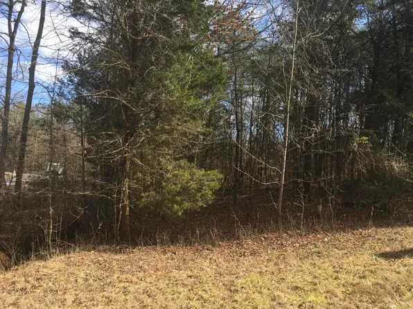 Mountain View Ln, White Pine, TN 37890