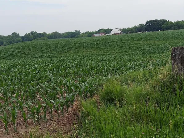 0 173rd Ave W, Taylor Ridge, IL 61284