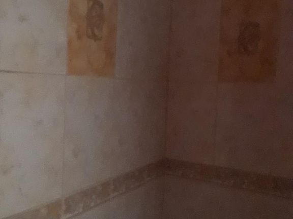 4th image of 5634 N Mason Ave #1