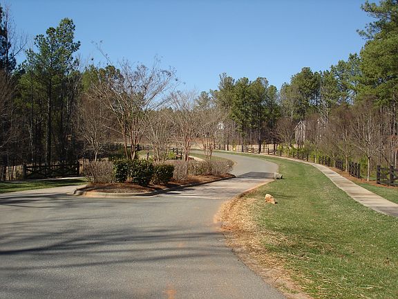3rd image of 15336 Pavilion Hill Cres