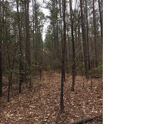4th image of 5616 Alleghany Dr