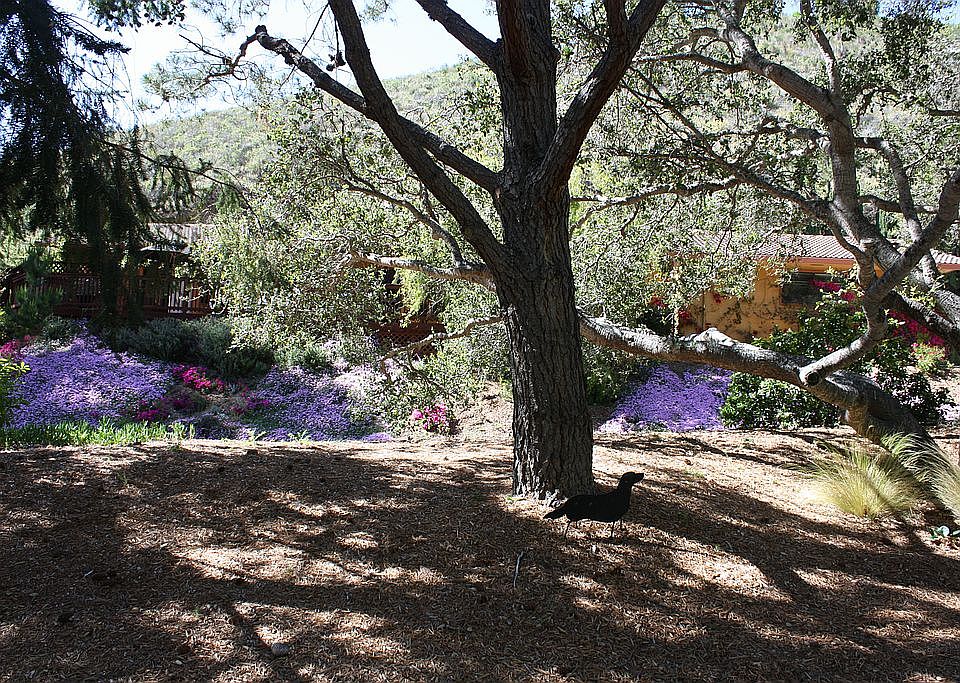 view from Tierra Grande