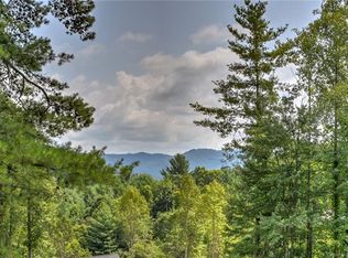 81 Magnolia Farms Dr, Asheville, NC 28806