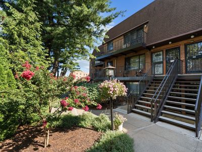 7447 Calamus Avenue #48, Flushing, NY, 11373