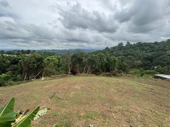 Carraizo Solar 3 Carr 843 Km #Home 3.5, Trujillo Alto, PR 00976