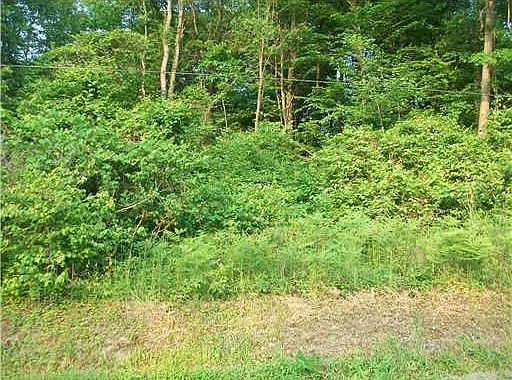 2nd image of LOT 2B Hemlock Rd