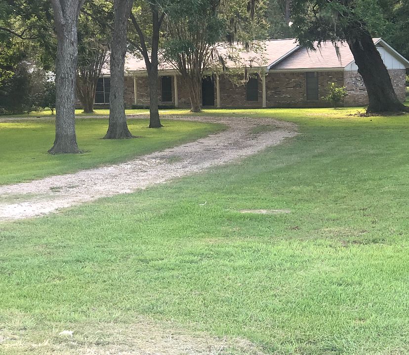 Large pecan and oak trees