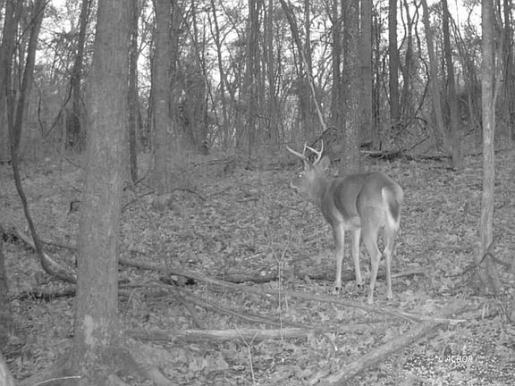 5th image of 9888 Salem Rd