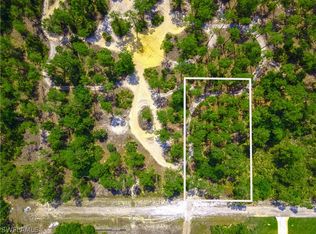9 Louis Ave, Lehigh Acres, FL 33936